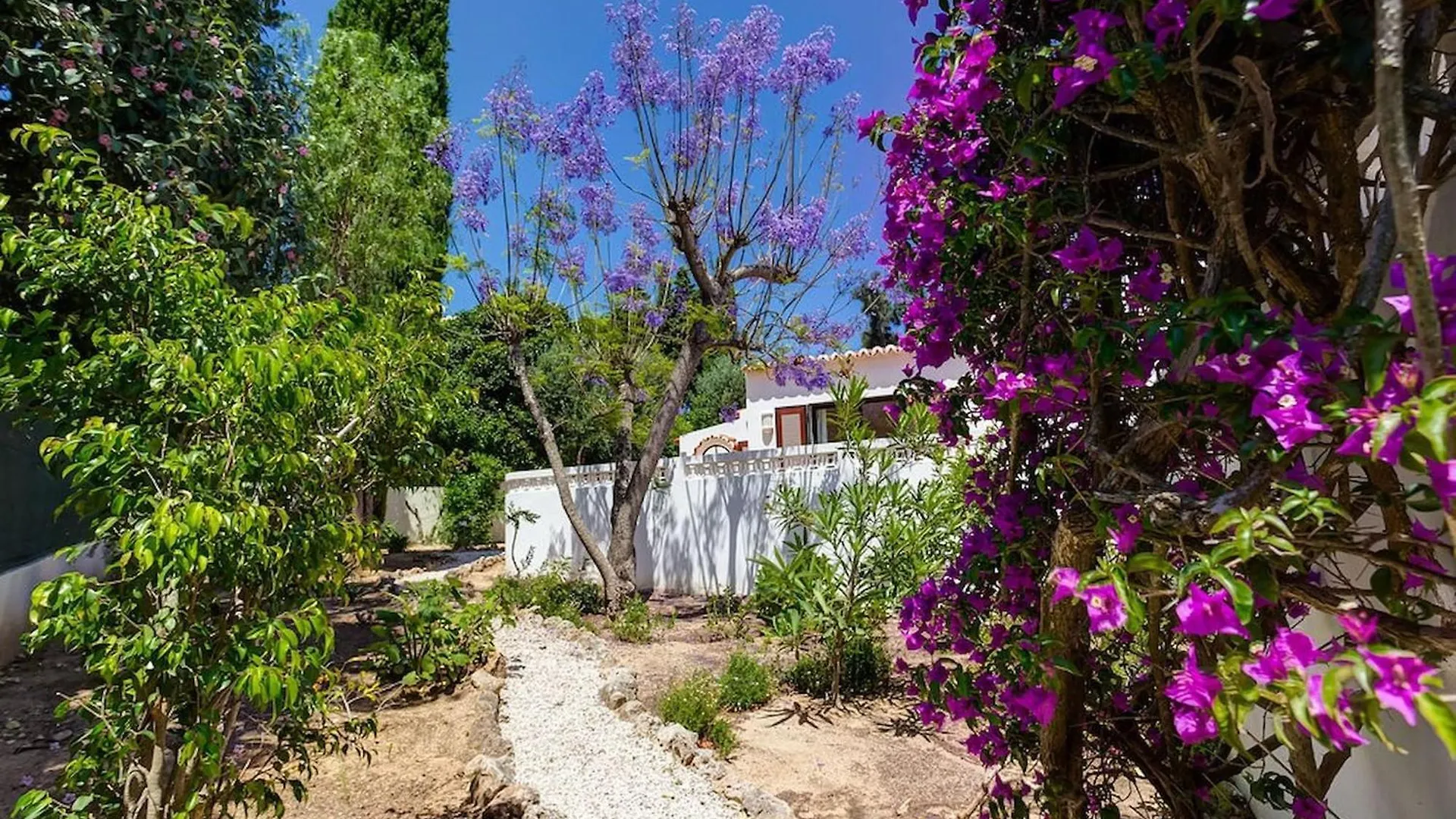 Sequana - Fabulous Spacious Villa Carvoeiro  Carvoeiro (Lagoa)